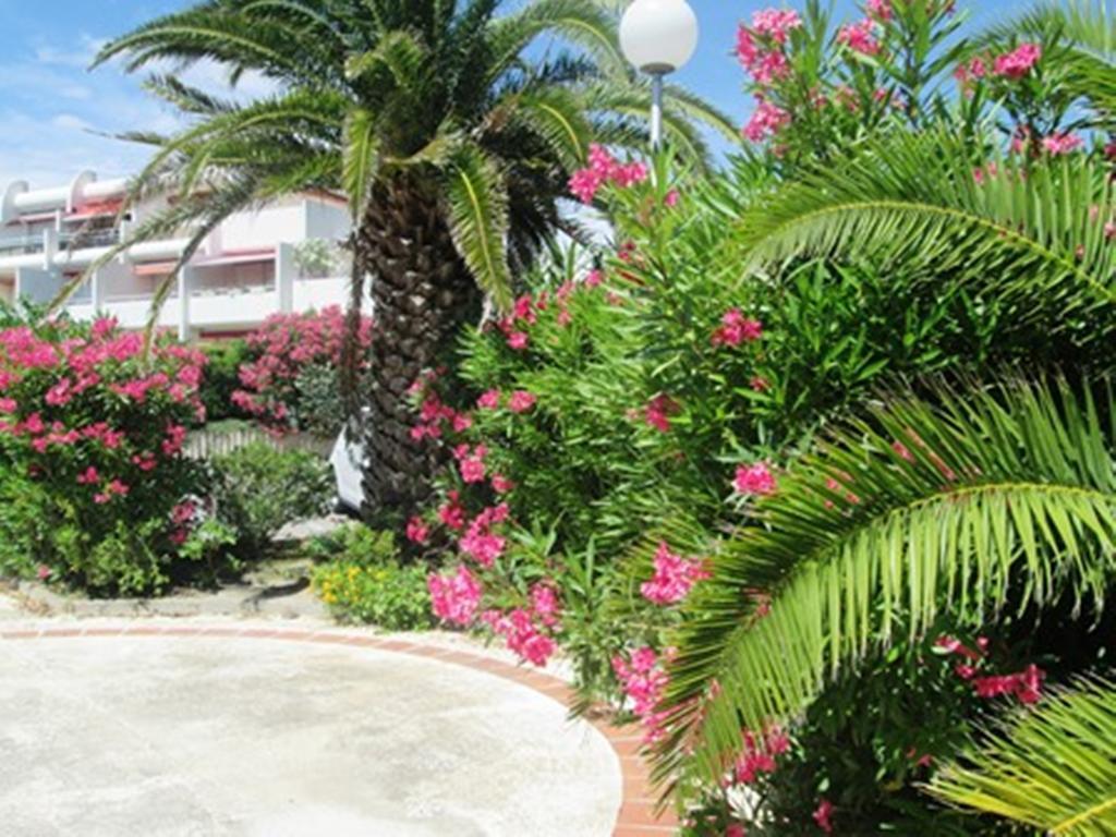 Vittoria Immobilier 12 -Reglement Sur Place - Cheques Vacances Acceptes La Grande-Motte Buitenkant foto