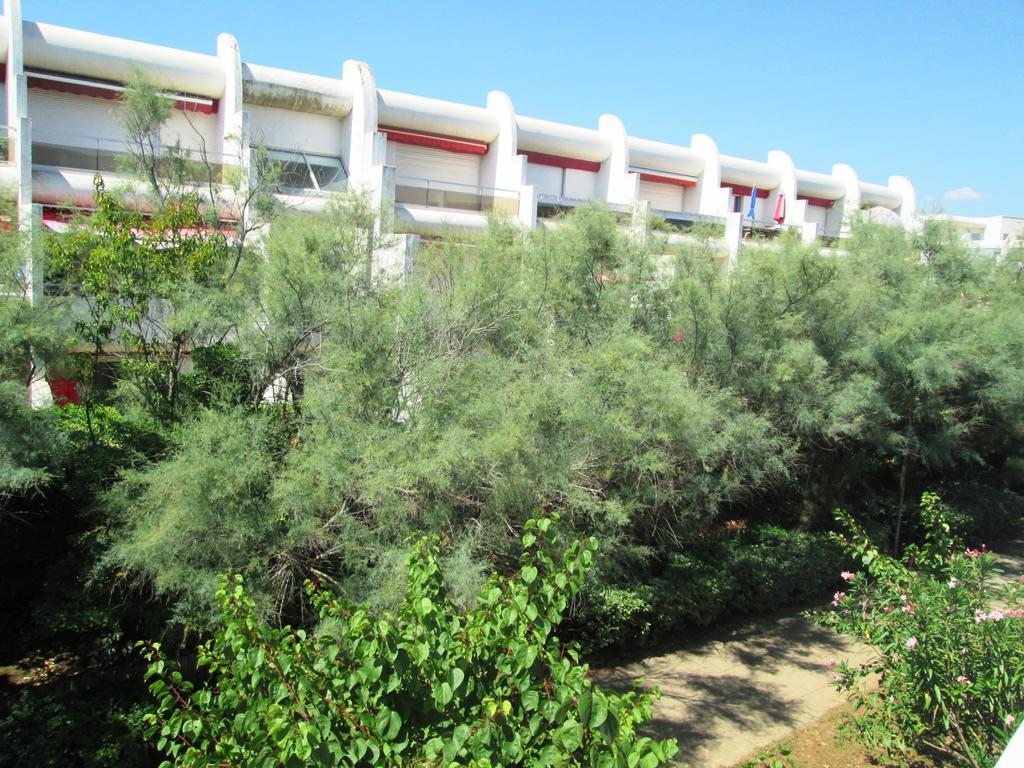 Vittoria Immobilier 12 -Reglement Sur Place - Cheques Vacances Acceptes La Grande-Motte Buitenkant foto